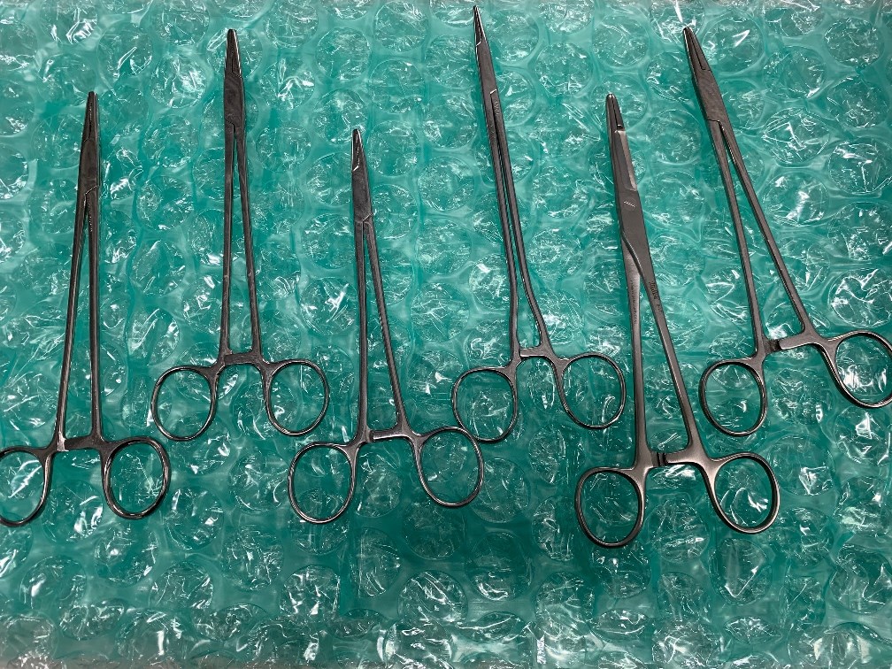 Lot of 6 - Small Straight Forceps